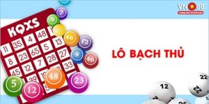 Bạch thủ lô