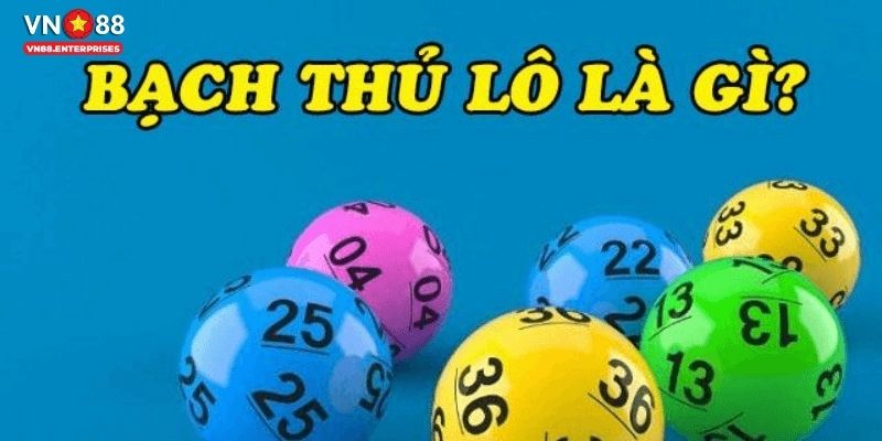 Bạch thủ lô là gì? 