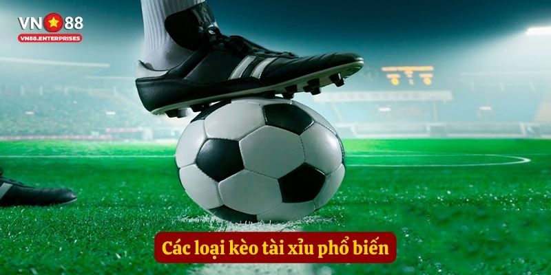 Các loại kèo tài xỉu phổ biến
