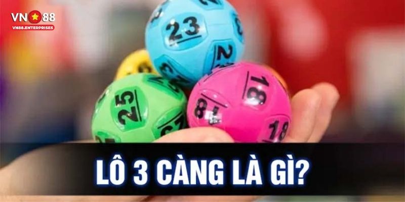 Lô 3 càng là gì