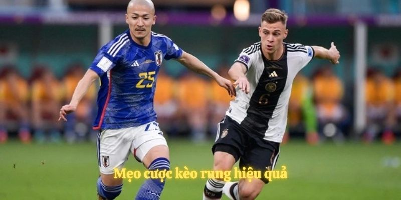 Các mẹo cược kèo rung