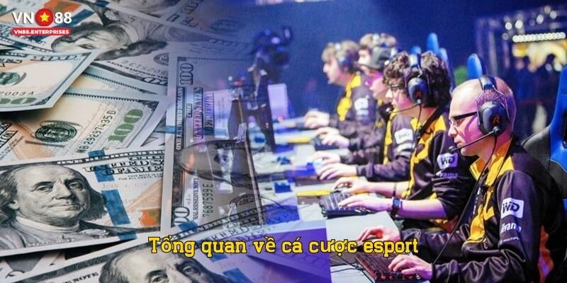 Tổng quan về cá cược esport